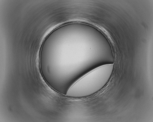 X0000113601199200909181102