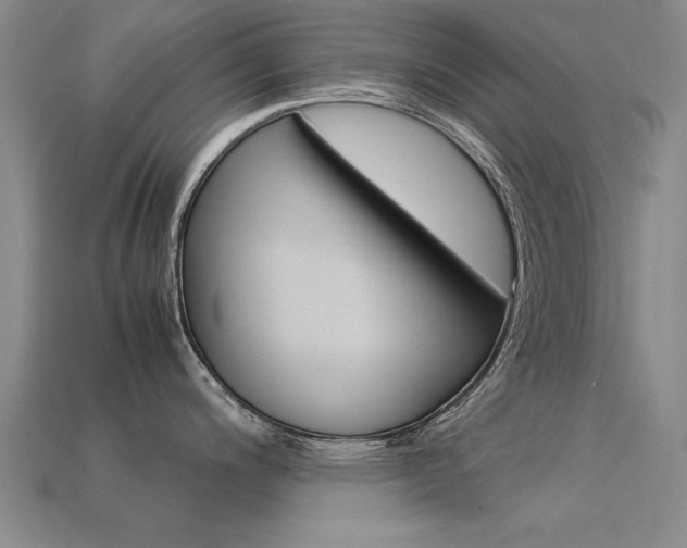 X0000113601200200909181102
