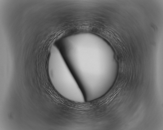 X0000113601201200909181101
