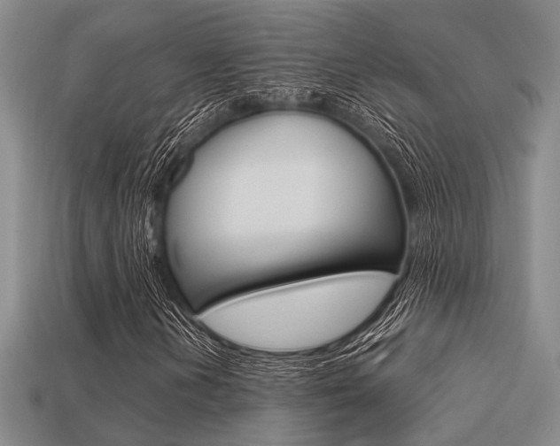 X0000113601202200909181101