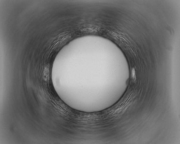 X0000113601203200909181101