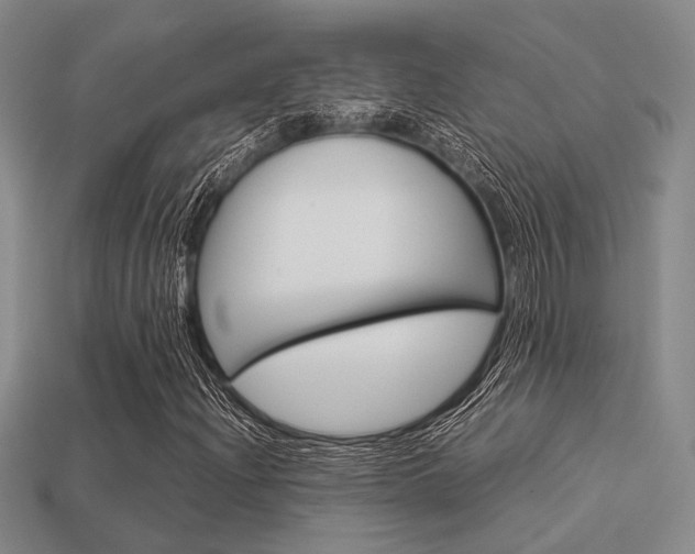 X0000113601204200909181101