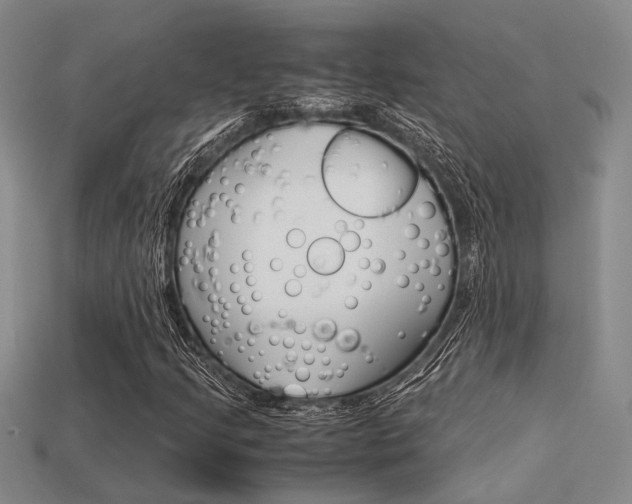 X0000113601205200909181101