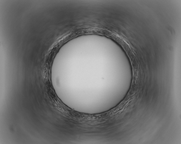 X0000113601207200909181101