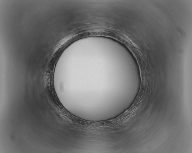 X0000113601208200909181101
