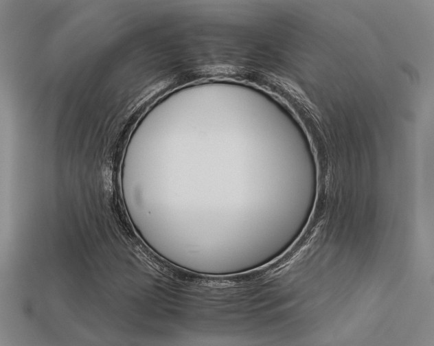 X0000113601209200909181101