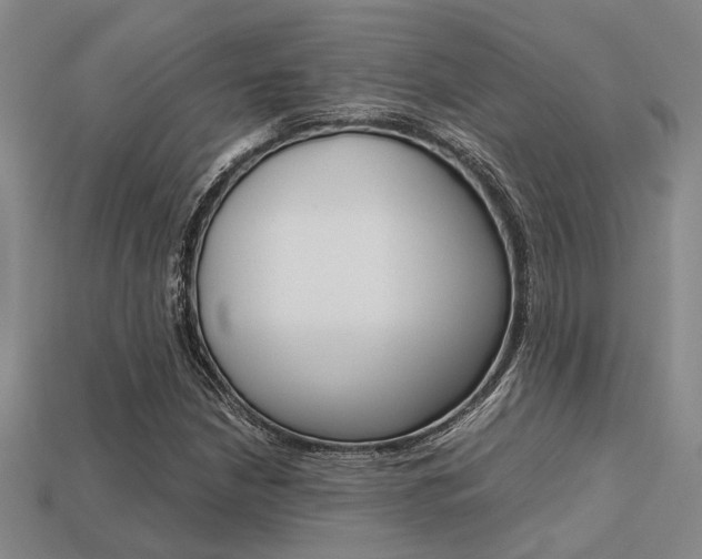 X0000113601210200909181101