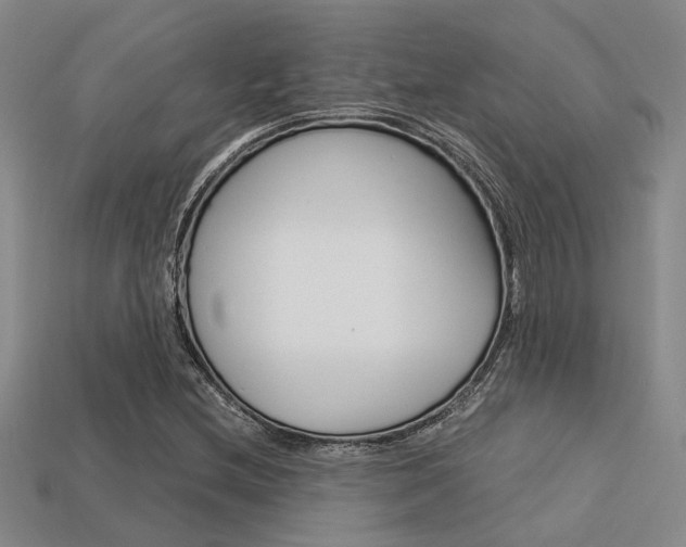 X0000113601212200909181101