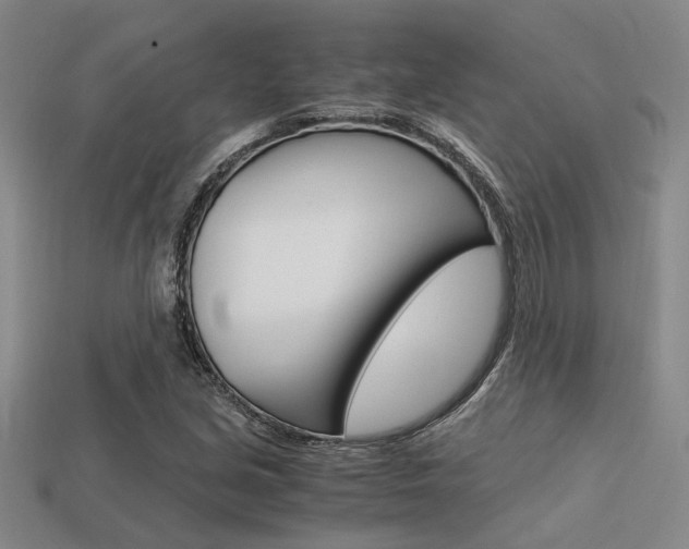 X0000113601213200909181101