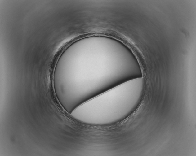 X0000113601214200909181101