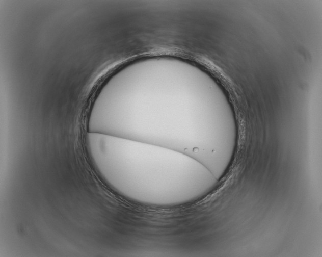 X0000113601215200909181101