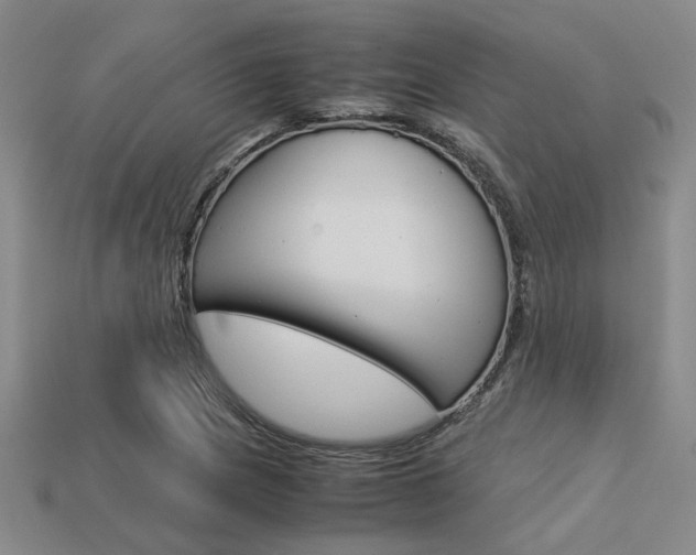 X0000113601217200909181101