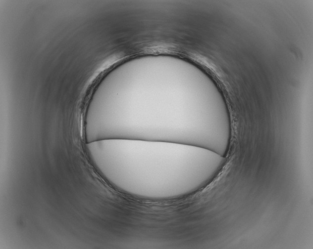 X0000113601219200909181101