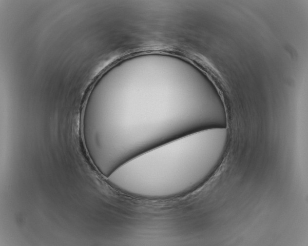 X0000113601220200909181102