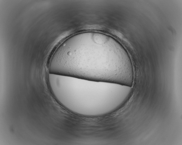 X0000113601221200909181102