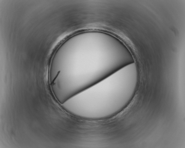 X0000113601224200909181102