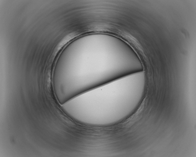 X0000113601226200909181102