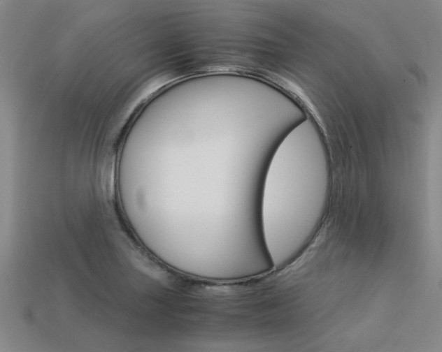 X0000113601227200909181102