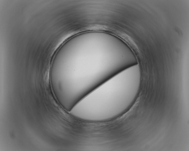 X0000113601228200909181102