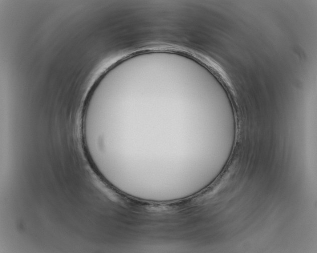 X0000113601231200909181102