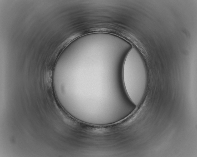 X0000113601233200909181102