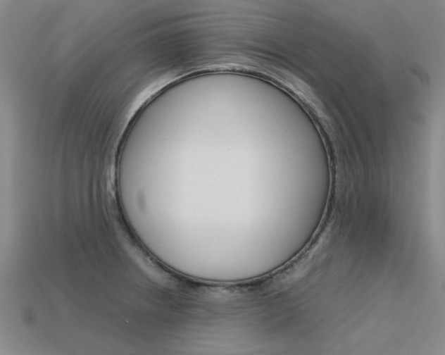 X0000113601234200909181102