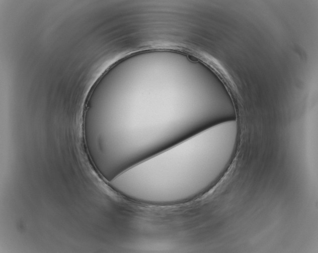 X0000113601236200909181102