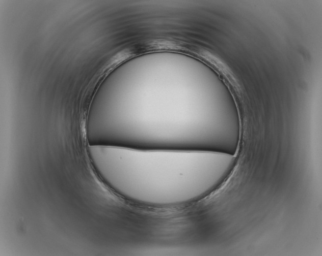 X0000113601241200909181102
