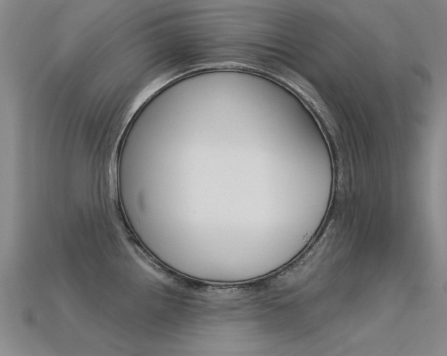 X0000113601242200909181102