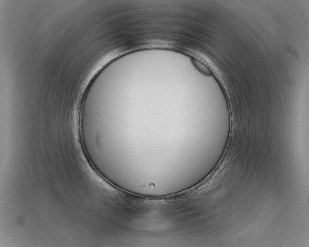 X0000113601243200909181102