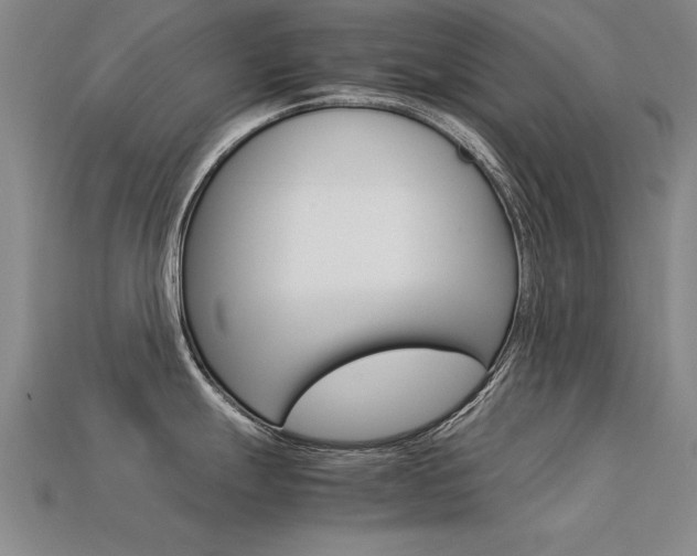 X0000113601247200909181102