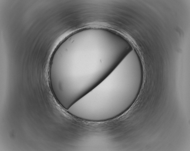 X0000113601248200909181102