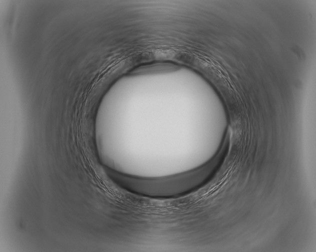 X0000113601249200909181101
