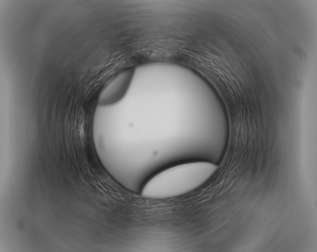 X0000113601250200909181101
