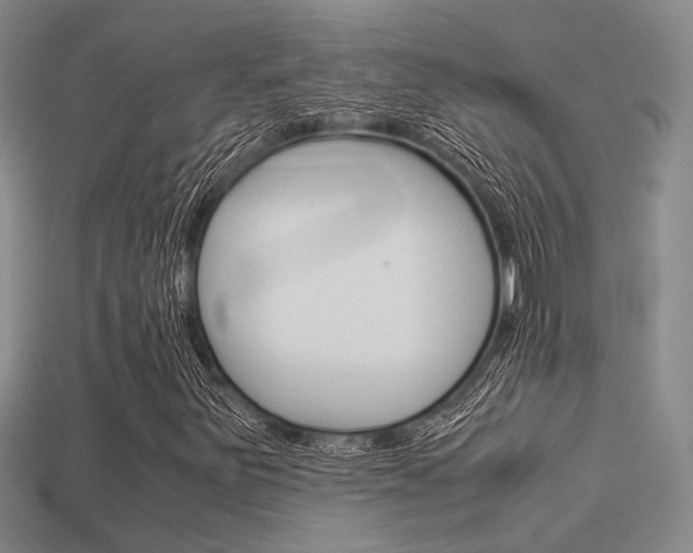 X0000113601251200909181101