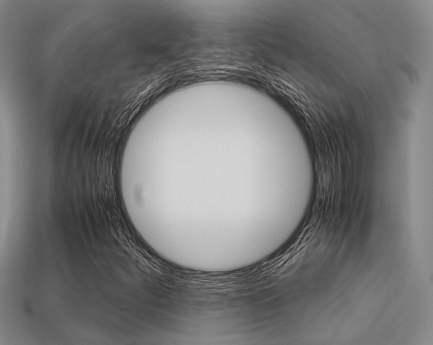 X0000113601252200909181101