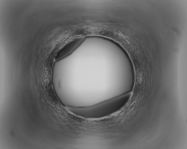 X0000113601253200909181101