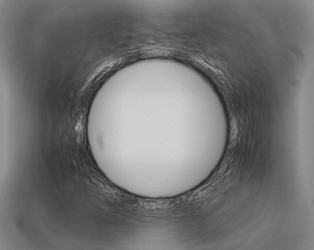 X0000113601254200909181101