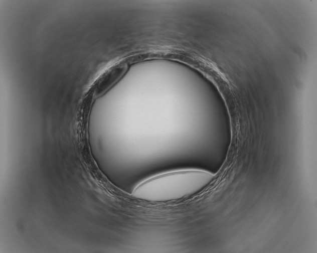 X0000113601256200909181101