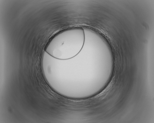 X0000113601257200909181101