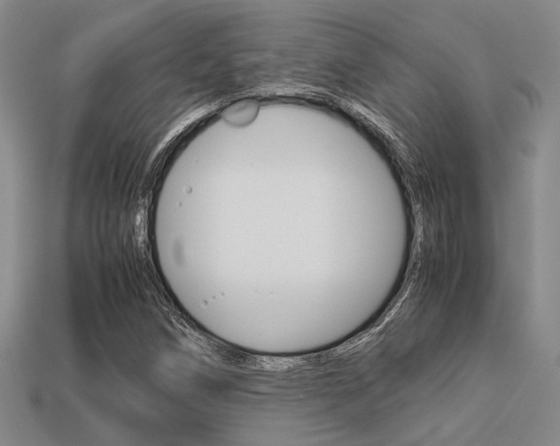 X0000113601258200909181101