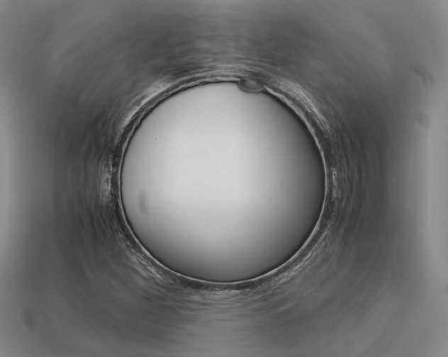 X0000113601260200909181101