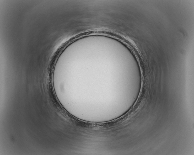 X0000113601263200909181101