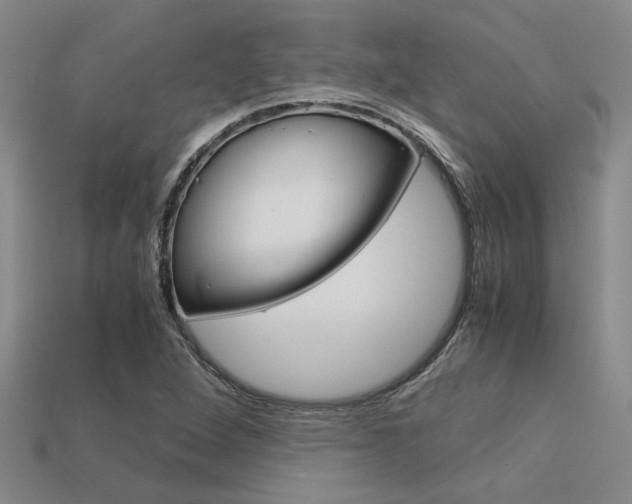 X0000113601264200909181101