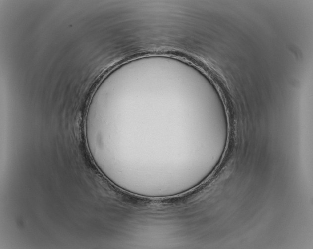 X0000113601265200909181101