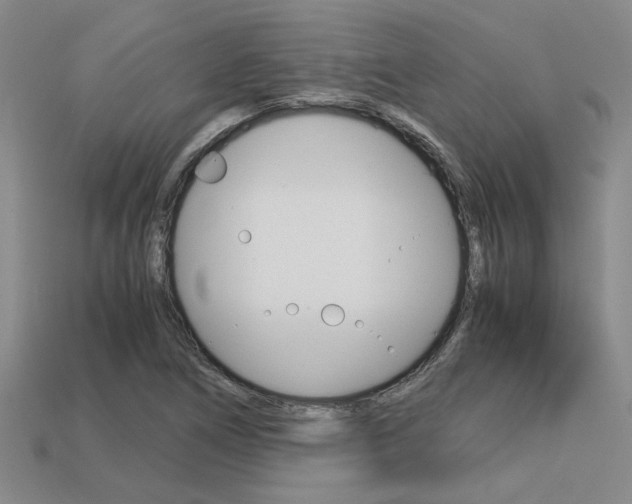 X0000113601266200909181101