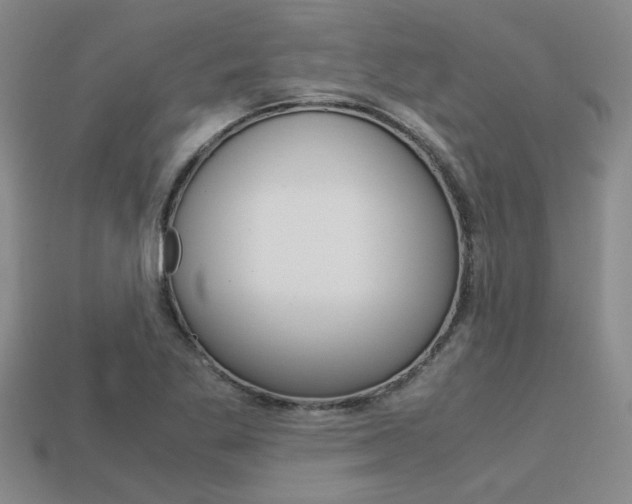 X0000113601269200909181101