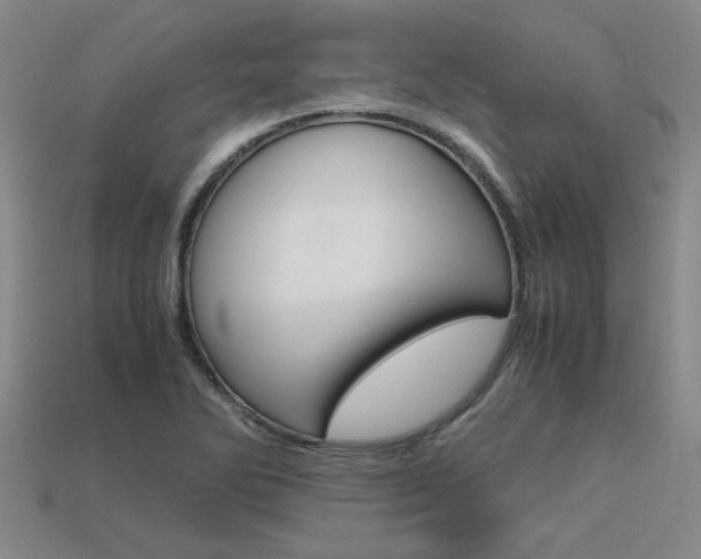 X0000113601270200909181101