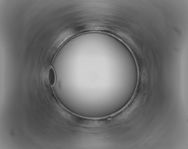 X0000113601273200909181101