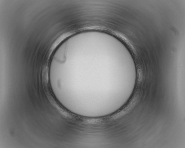 X0000113601274200909181101